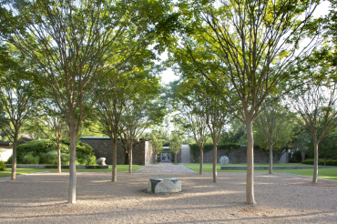 West Lane Residence crepe myrtle bosque leading to entry, Houston, TX